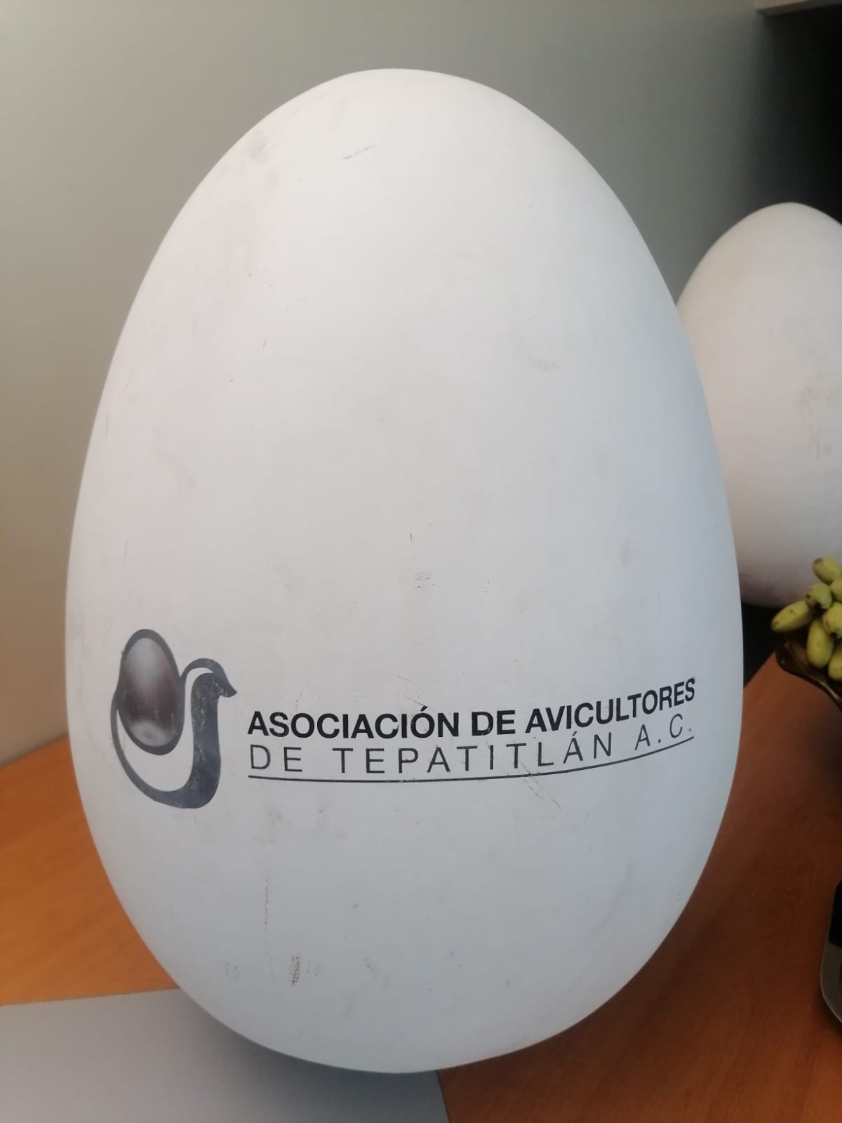 Fotos 4 - 4ta. sesión 22-10-25- asociacion avicola - 7